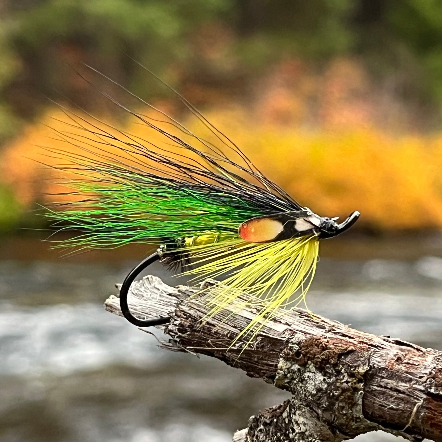 Green Highlander