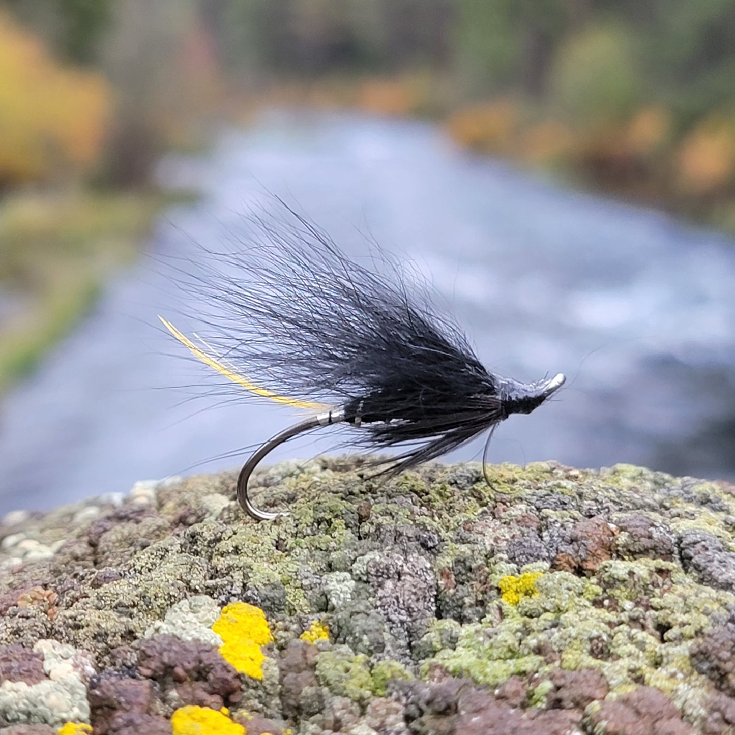 Stoat's Tail