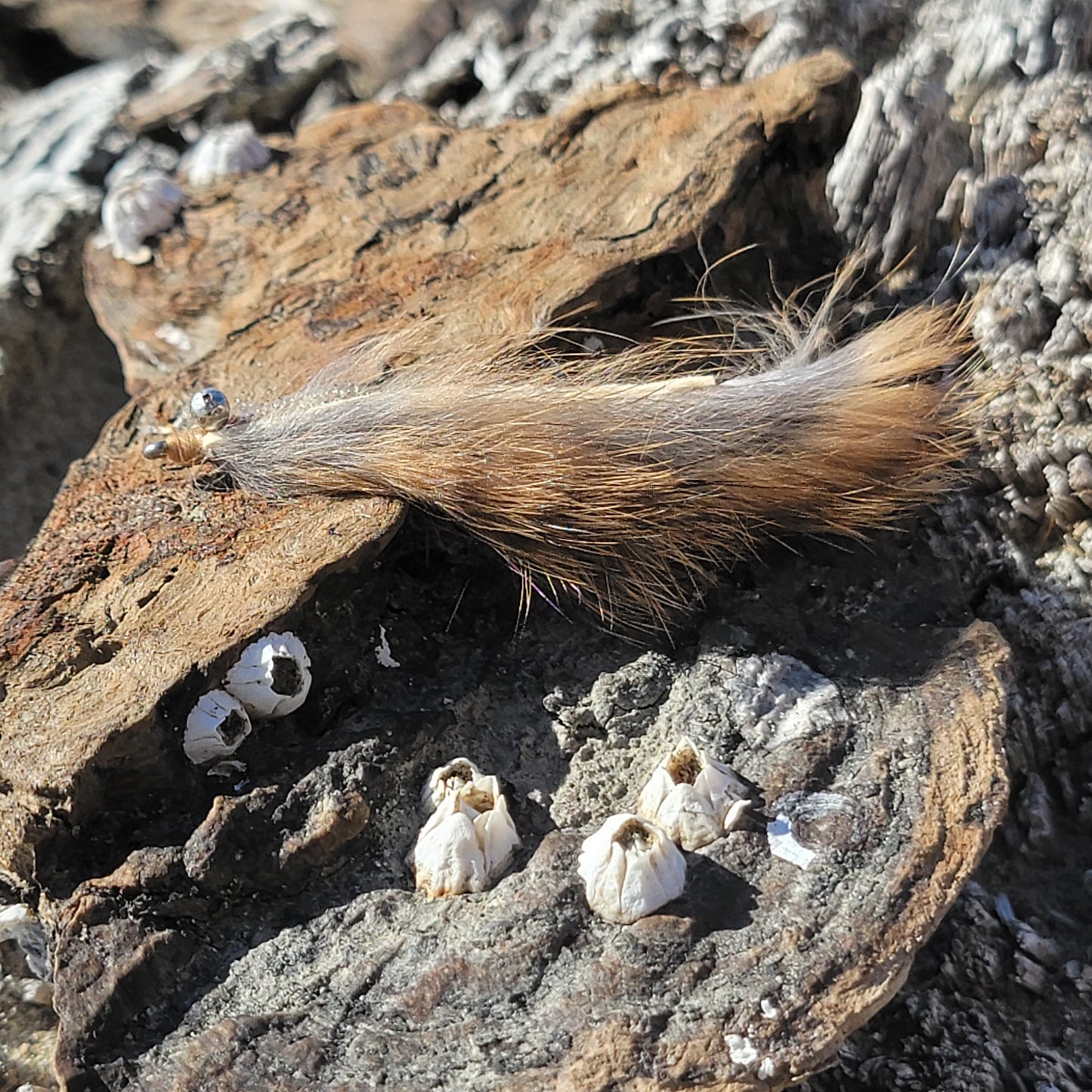 Bunny Gotcha tan | Size #2/0 | Saltwater