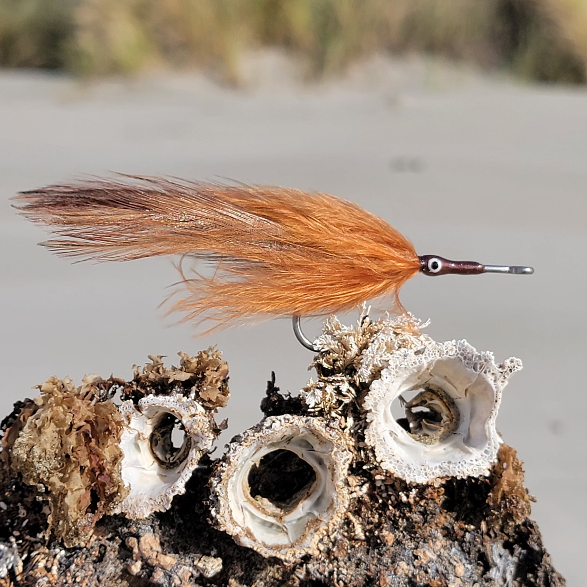 Catcher Brown | Size #4/0 | Saltwater