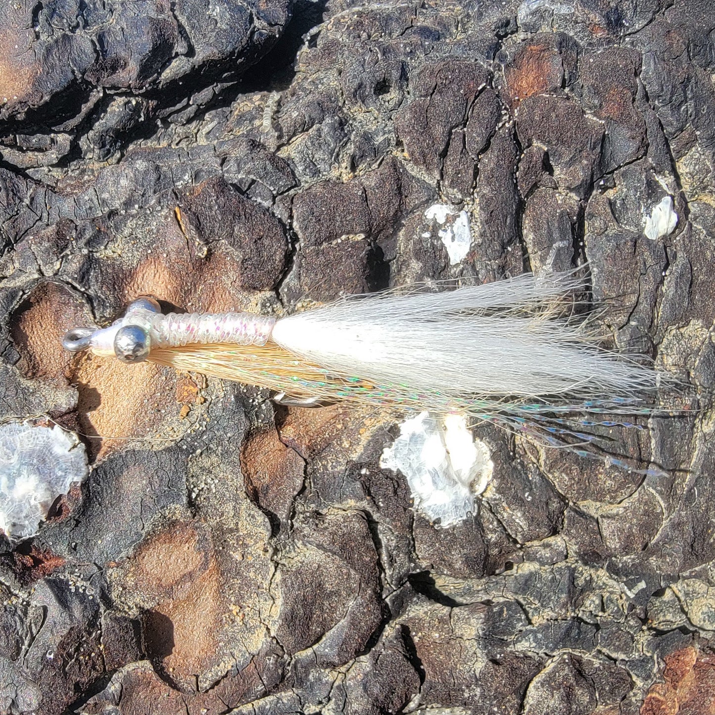 Clouser Bone Tan | Size #2/0