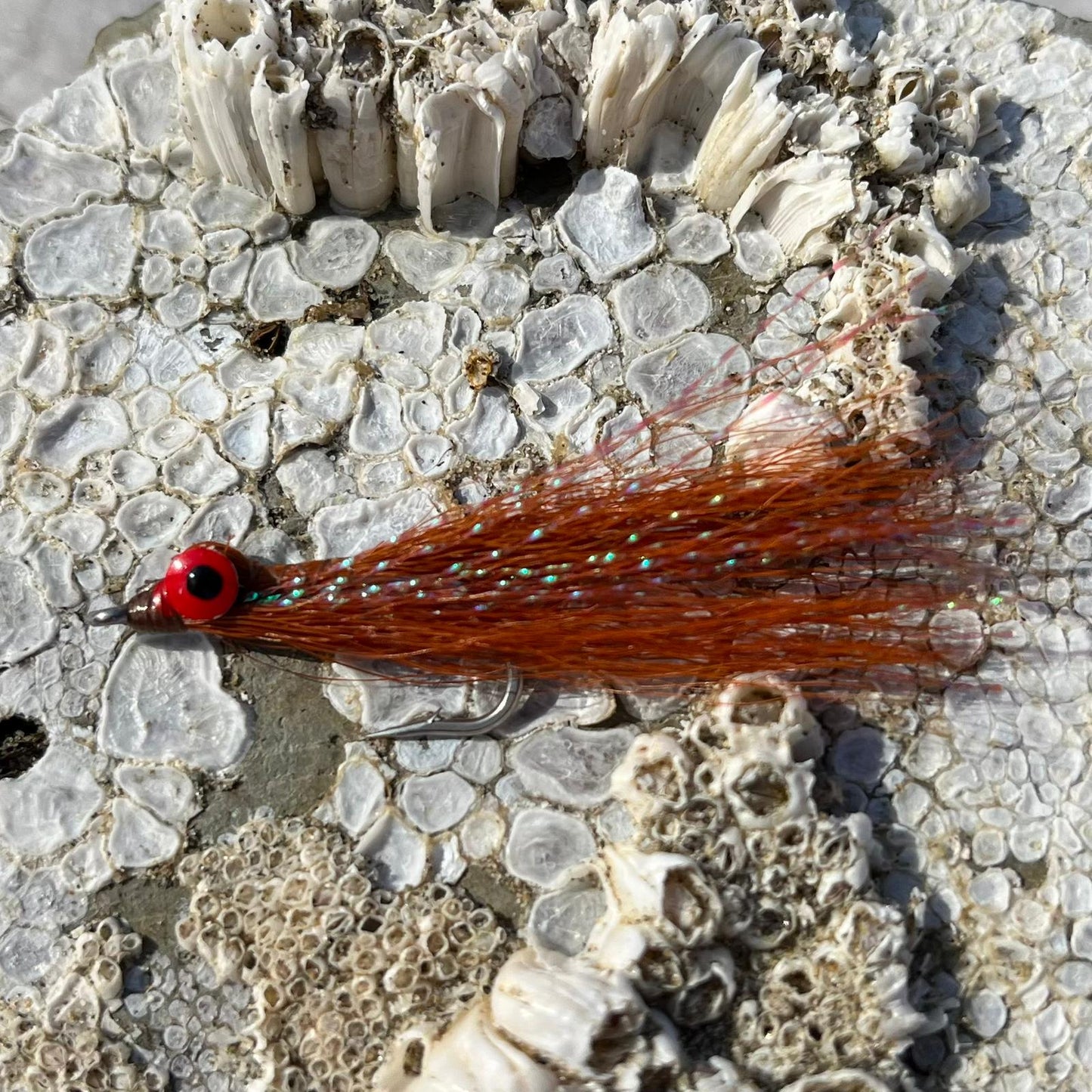 Clouser Minnow Sculpin | Size #2/0