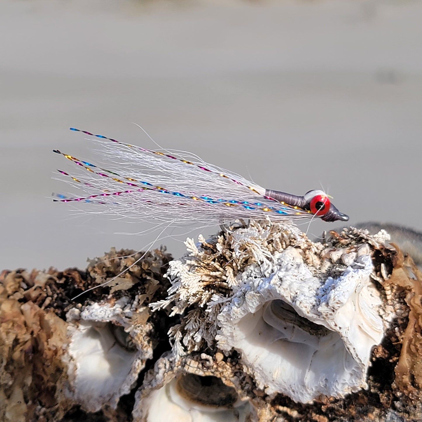 Clouser Minnow Silver Shiner | Size #2/0