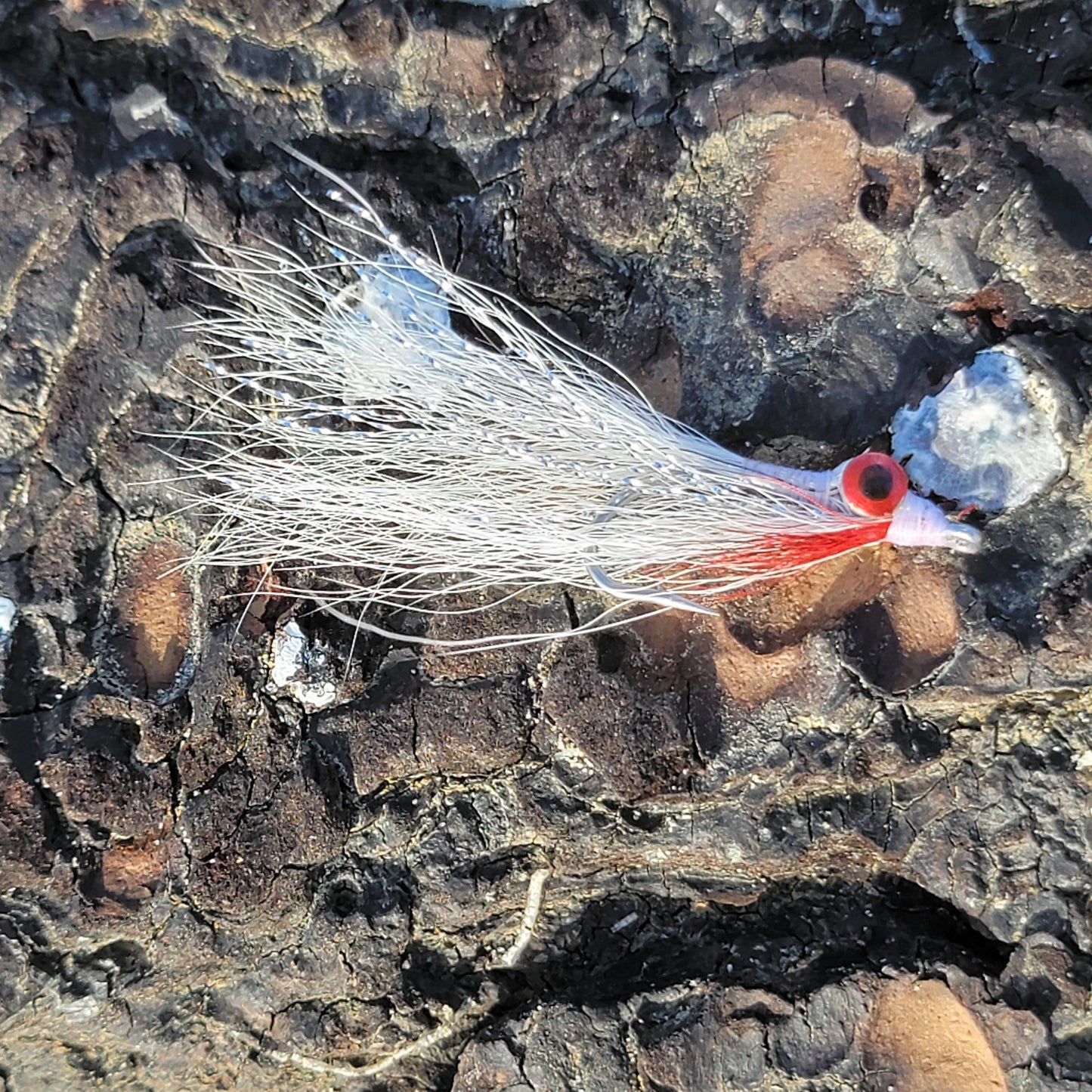 Clouser Minnow Sleeper | Size #2/0