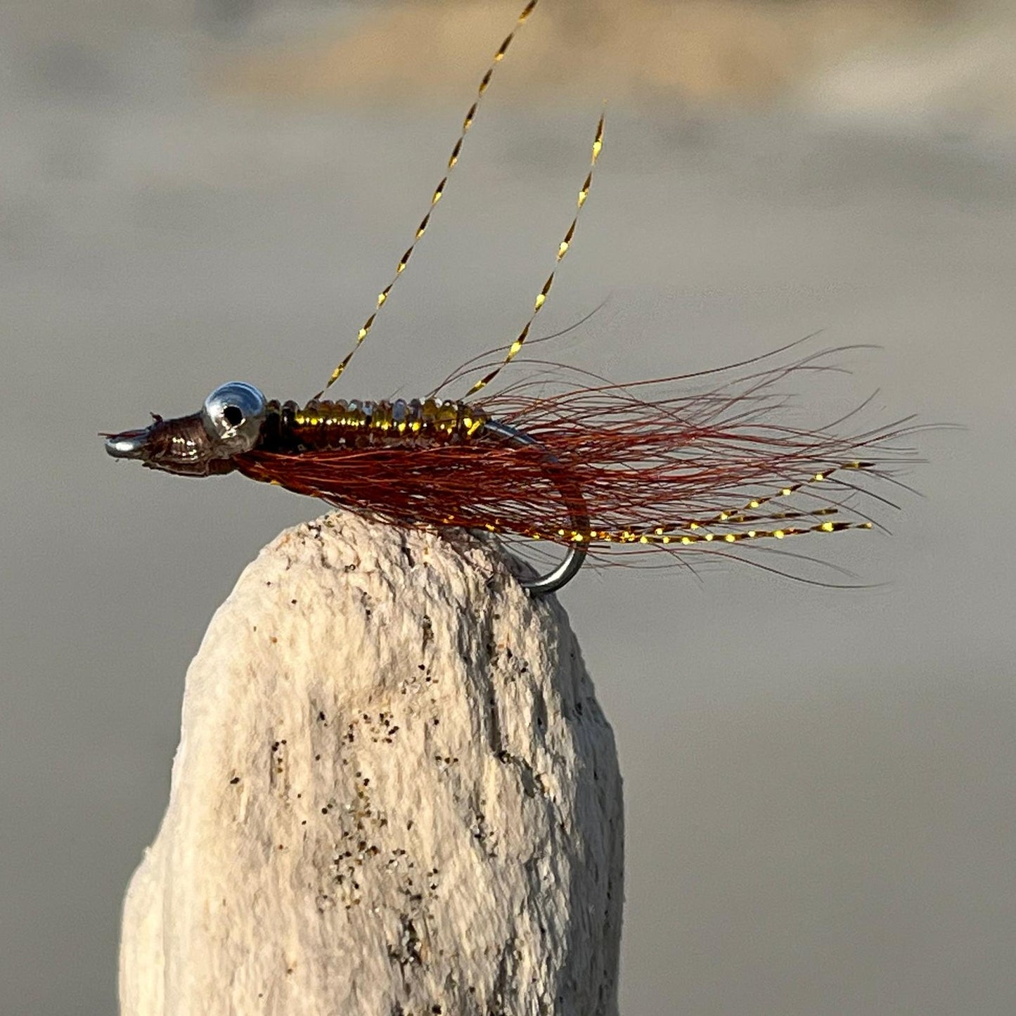 Crazy Charlie Brown Gold | Size #4