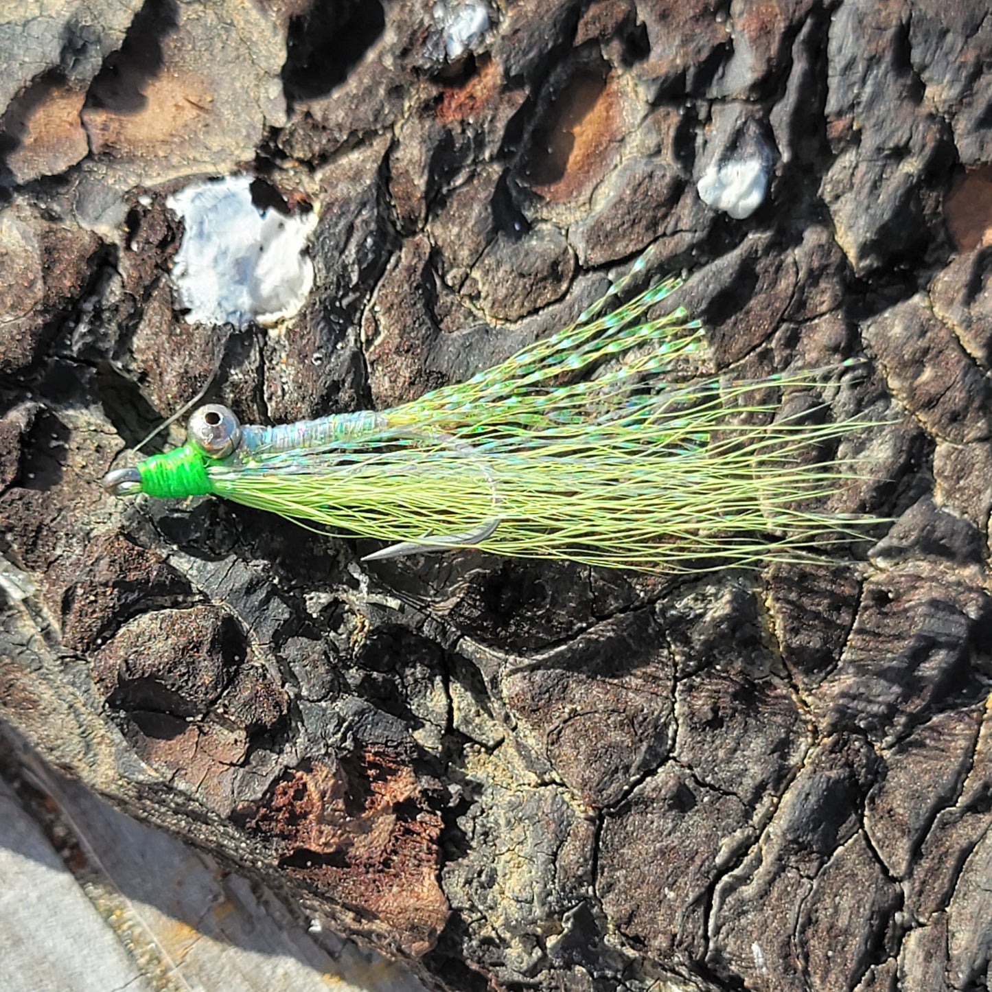 Crazy Charlie Chartreuse | Size #4
