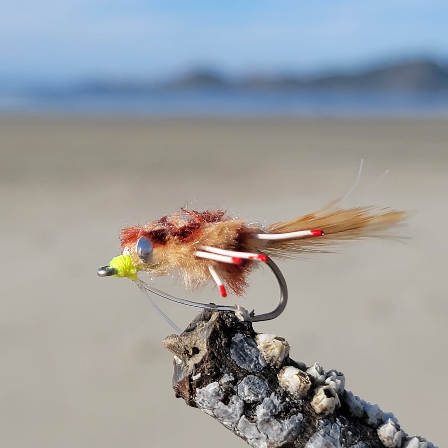Del's Merkin Crab | Size #2/0