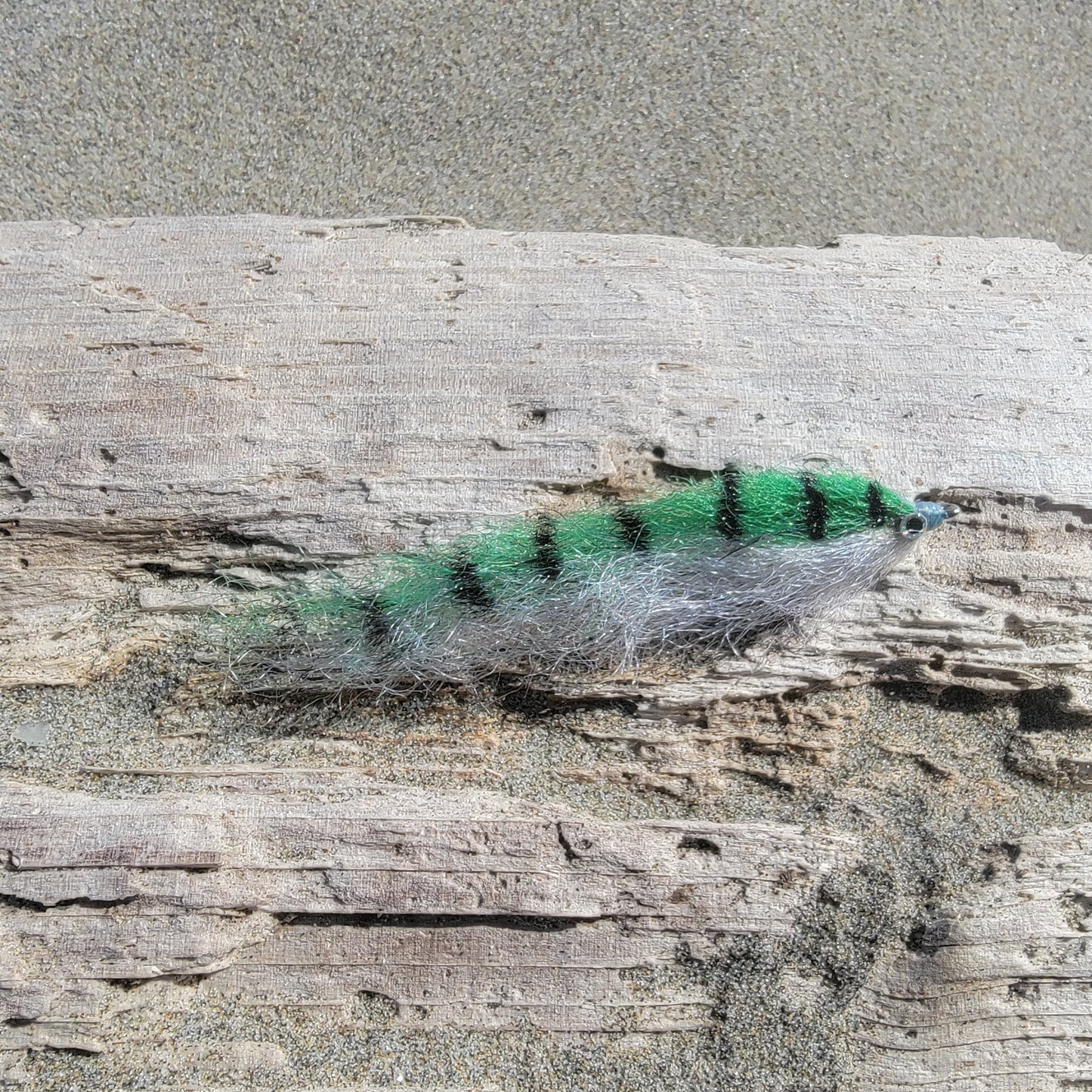 Salty Baitfish Anchovy | Size 4