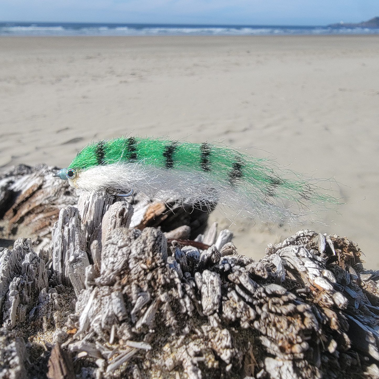 Salty Baitfish Anchovy | Size 4