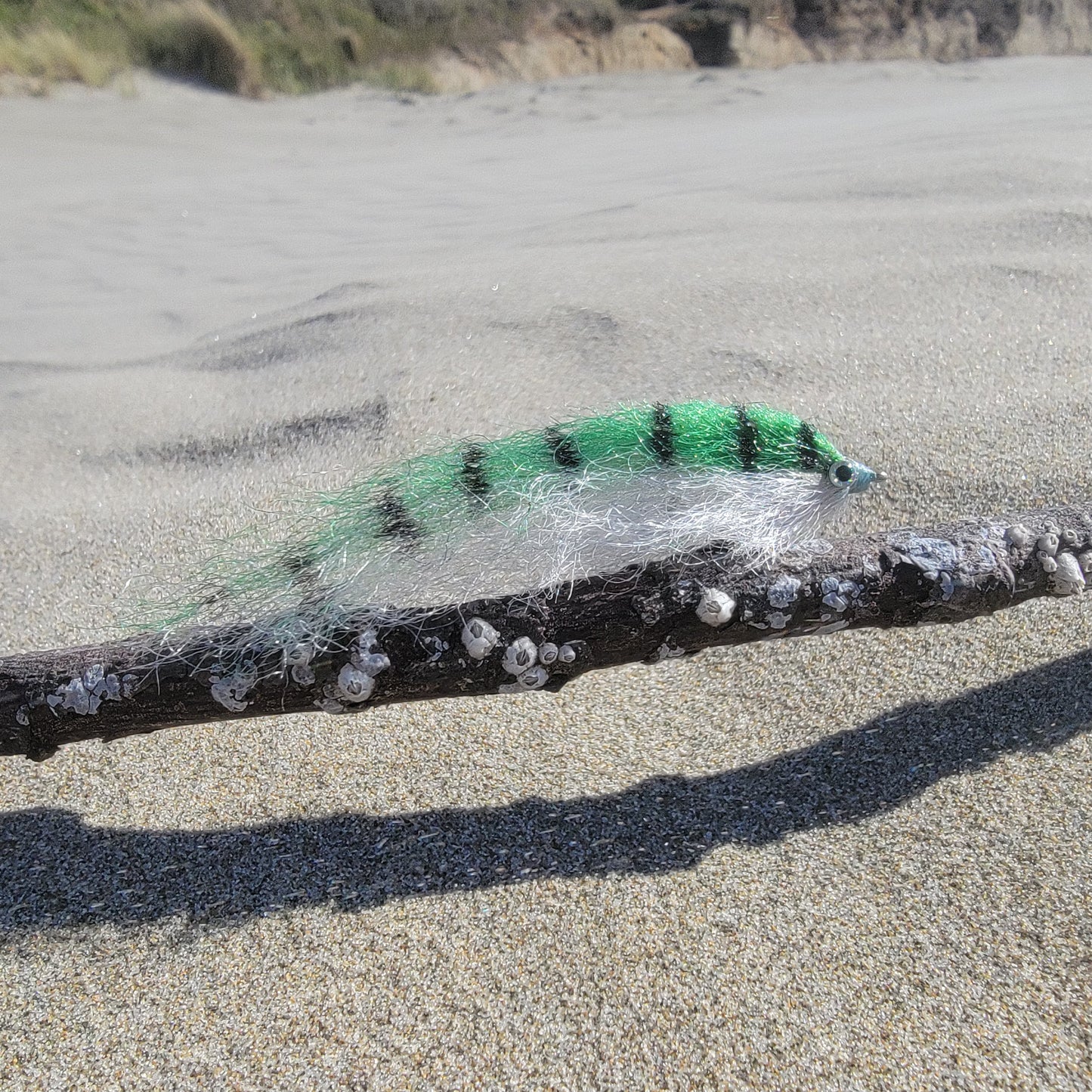 Salty Baitfish Anchovy | Size 4