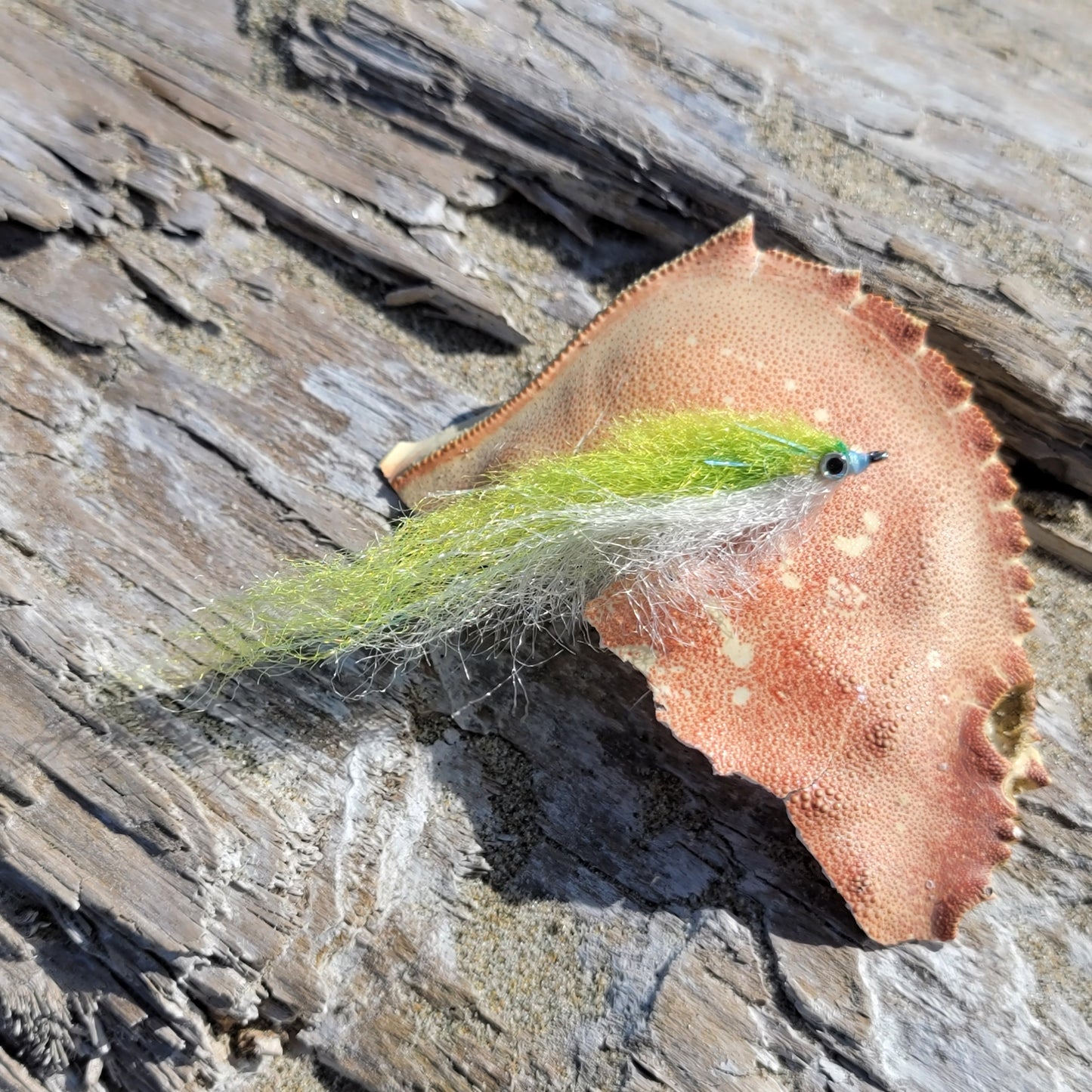 Salty Baitfish Chartreuse | Size #2/0