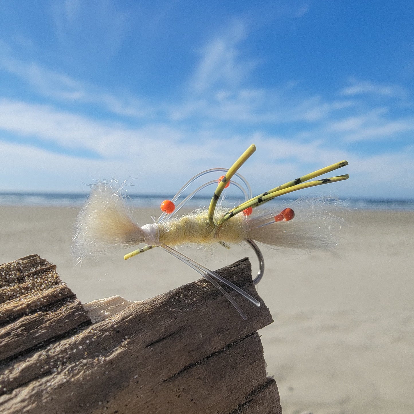 Sand Prawn | Size #4