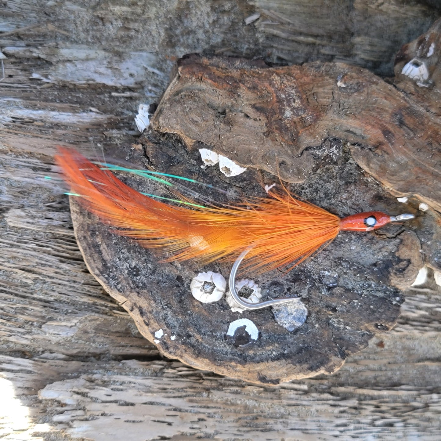 Tarpon Master Orange