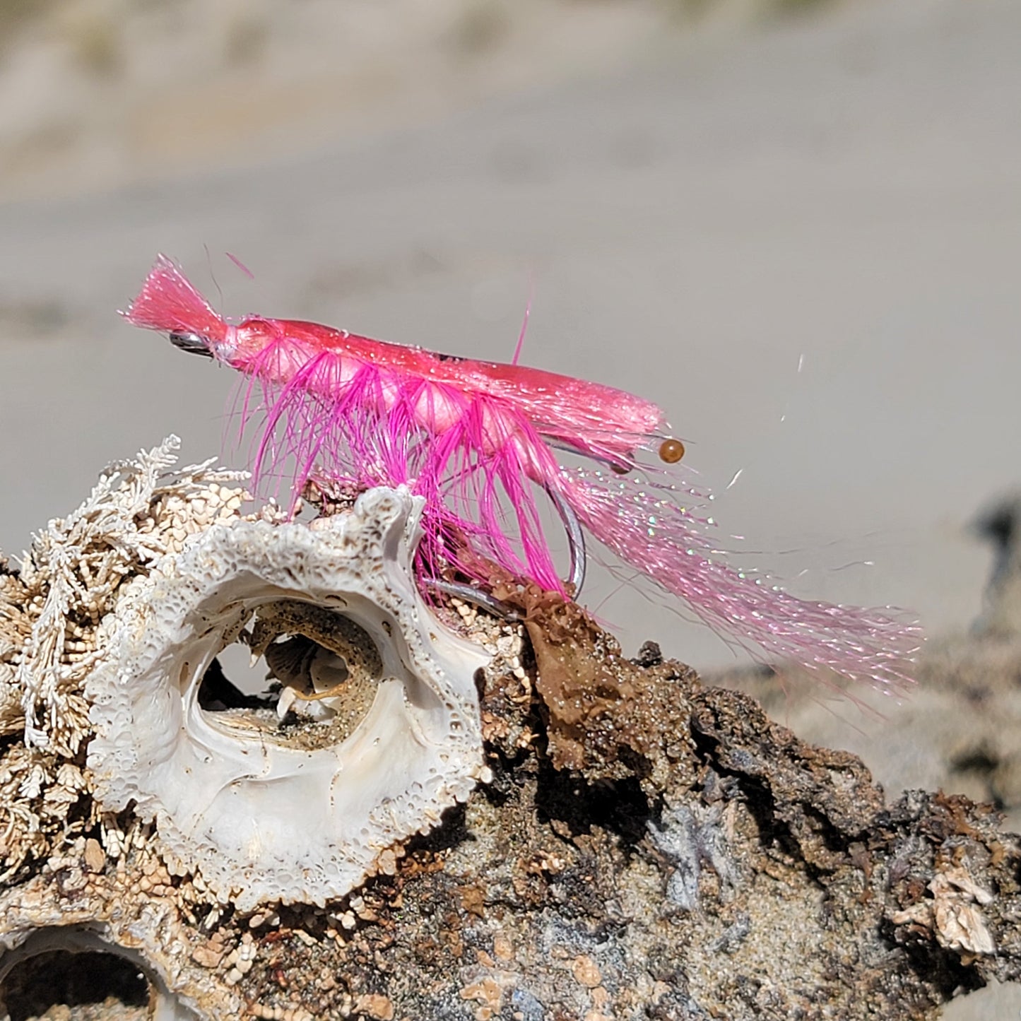 Ultra Shrimp Pink | Size #1/0