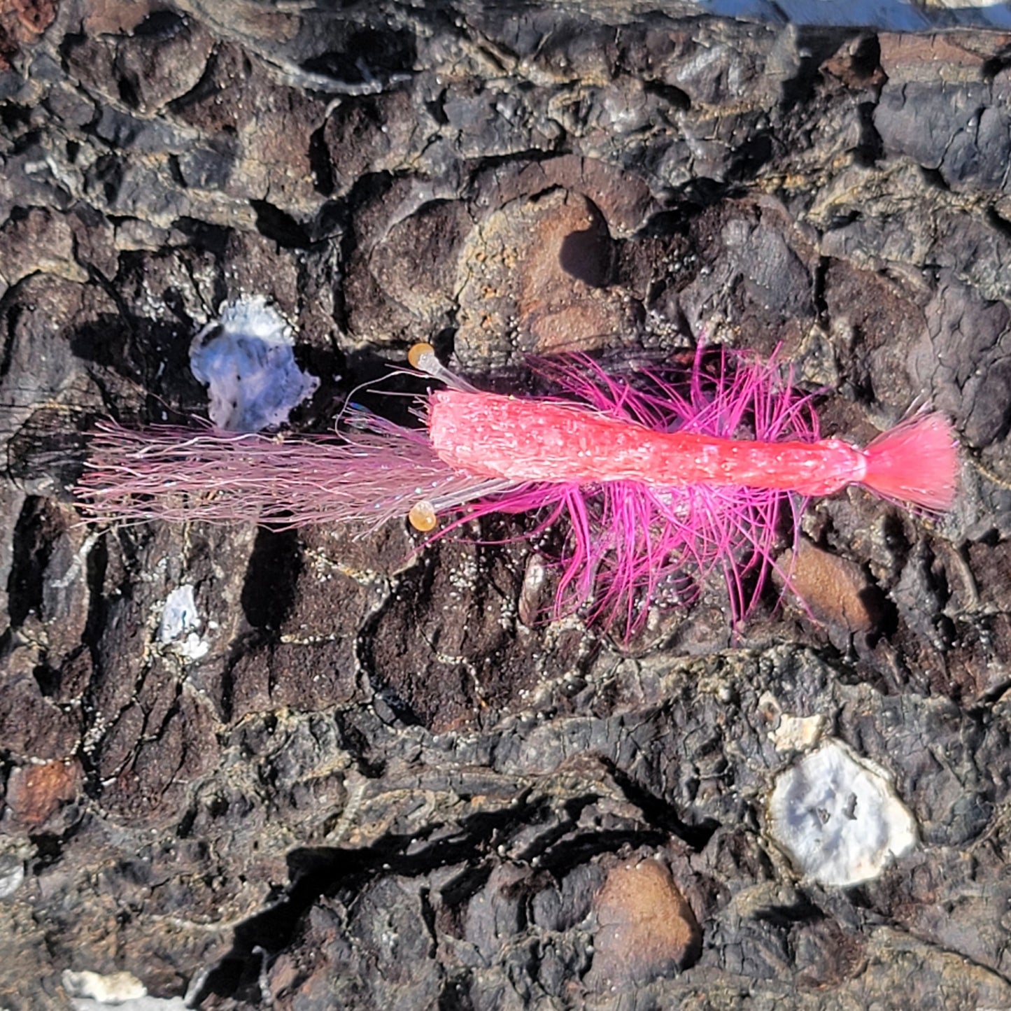 Ultra Shrimp Pink | Size #1/0