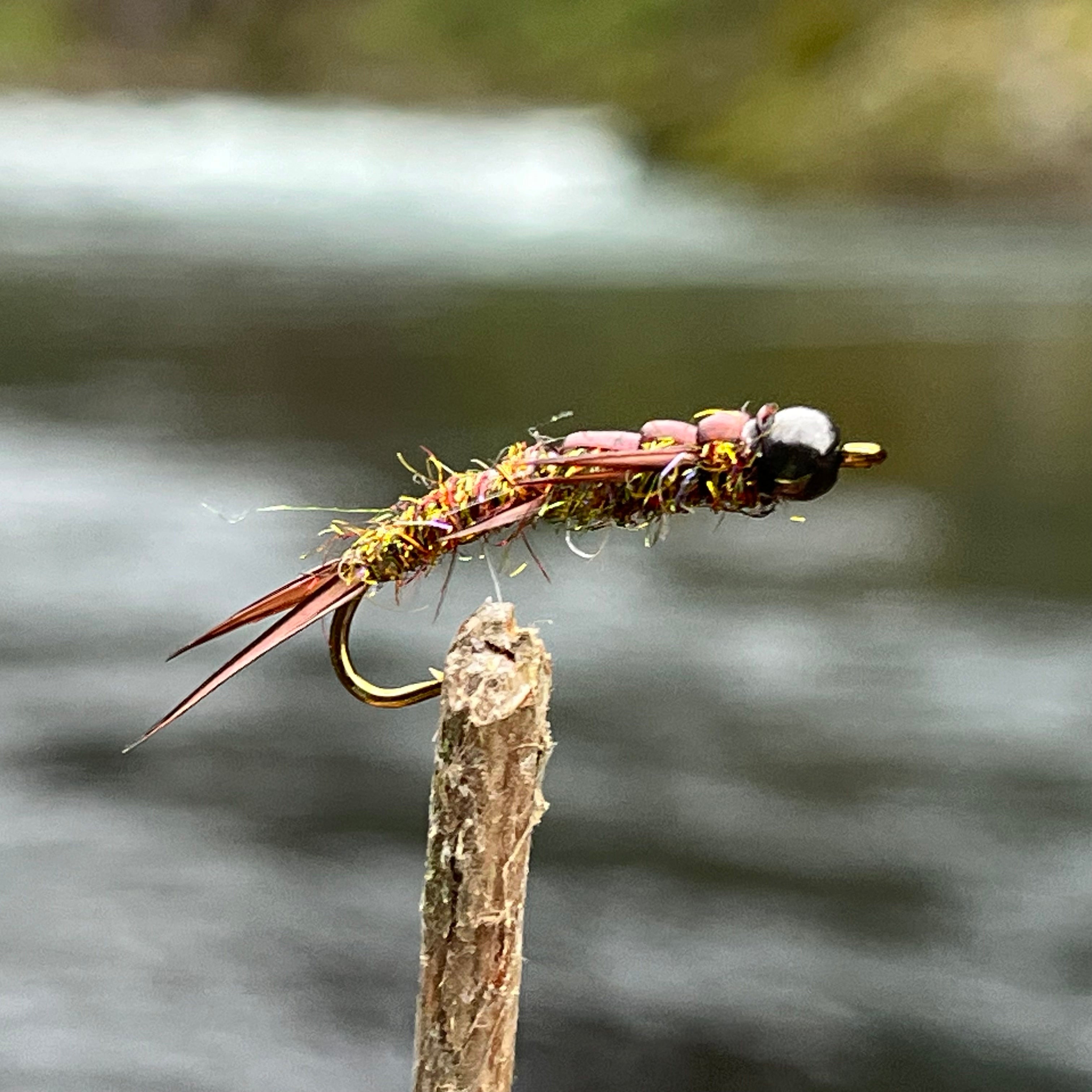Mastercard Fly Wet Flies – Golden Tippet Fly Co.