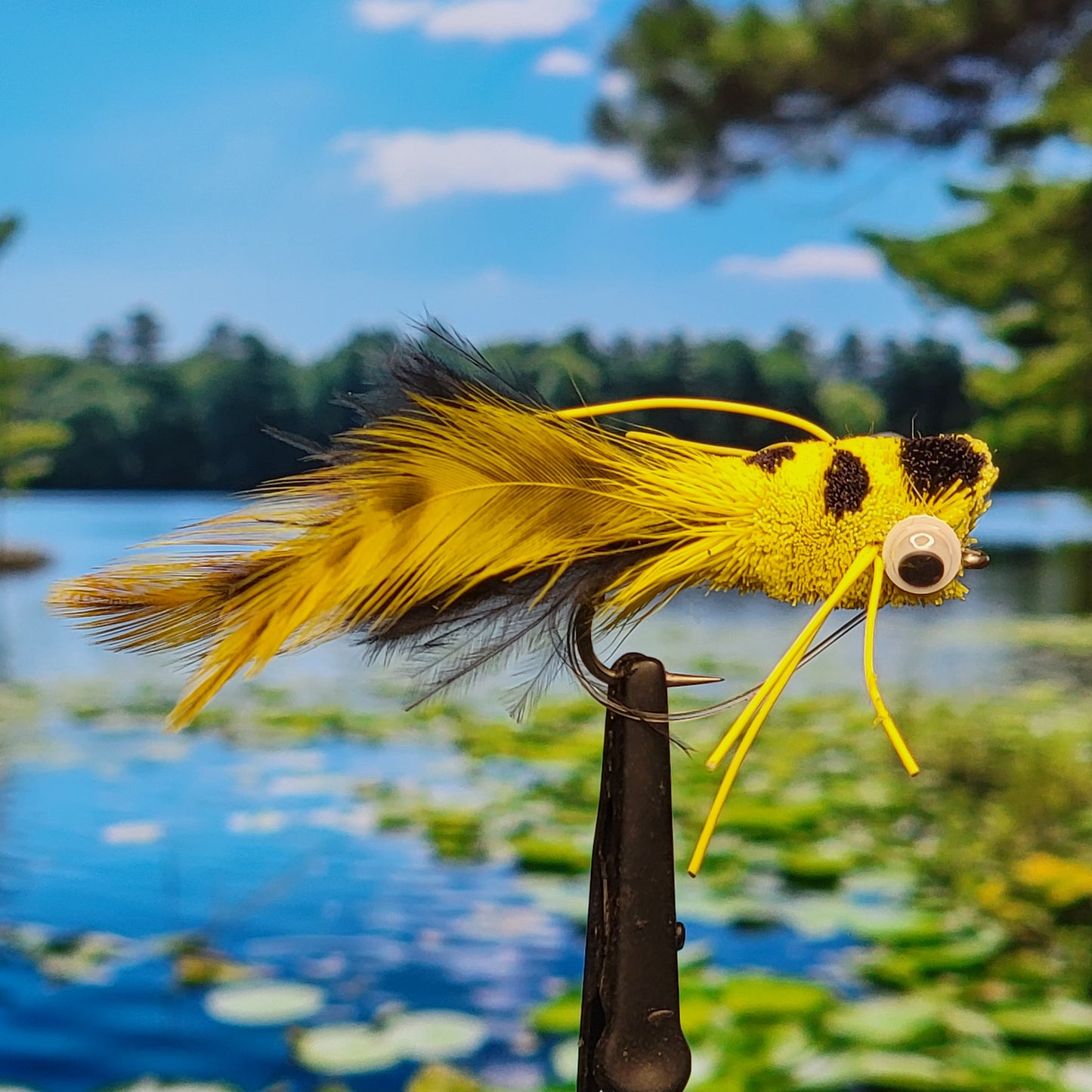 Puffed Up Croaker Fly - Size #4 & #1