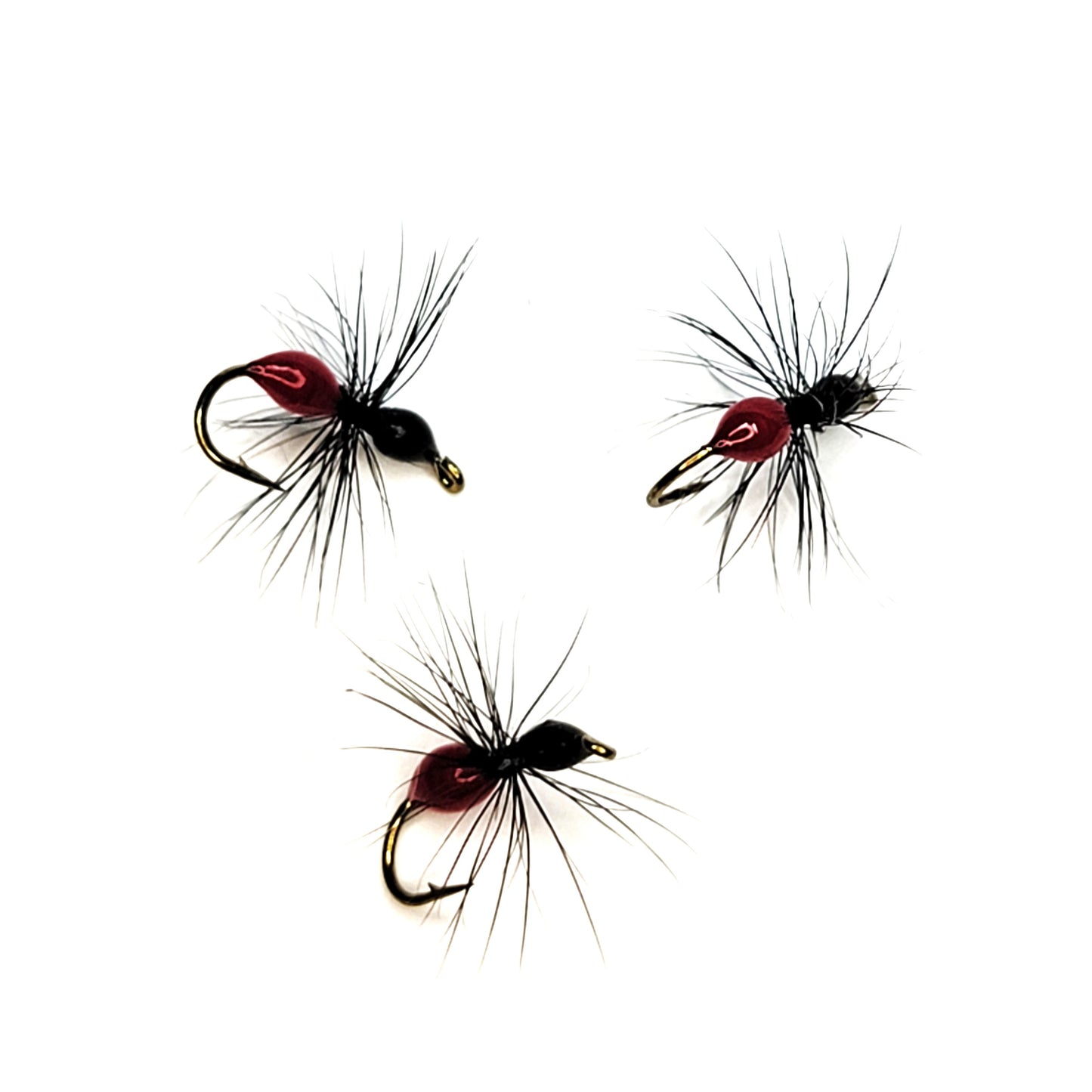 Black Flying Ant - (Pack of 3)