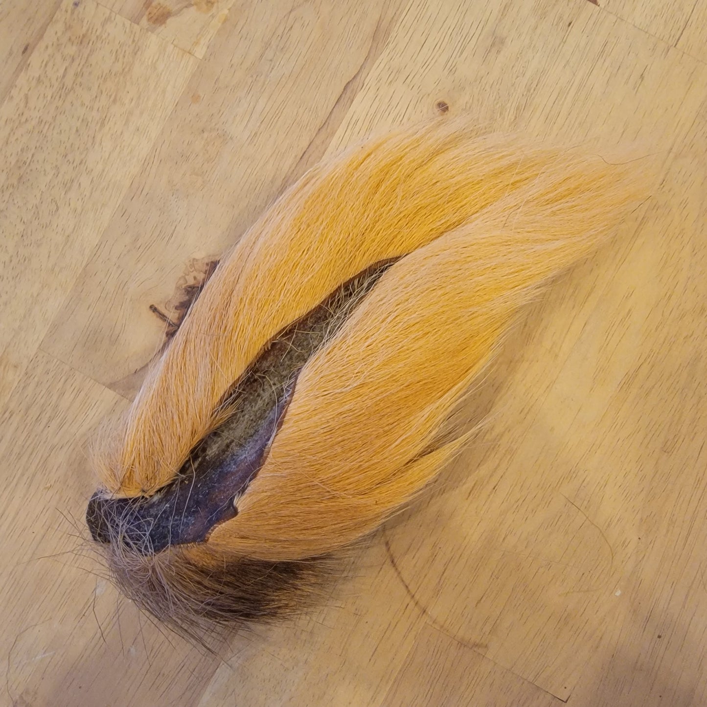 Large Bucktail