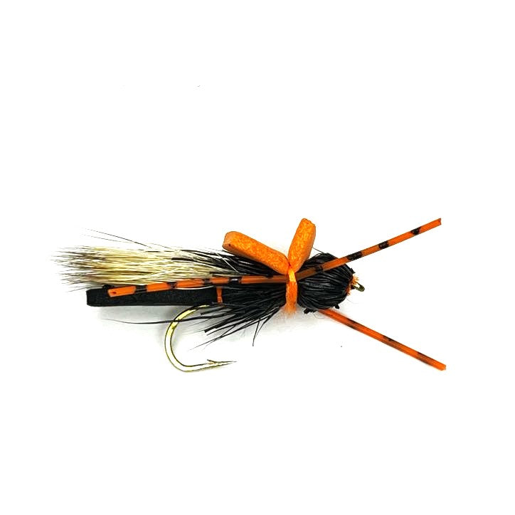 Criss Cross Cicada - (Pack of 3)