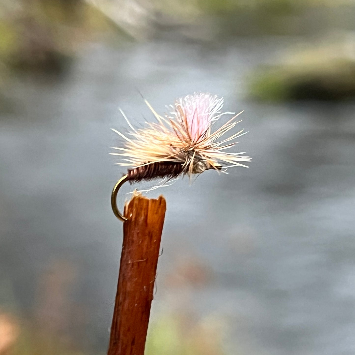 Parachute Caddis - (Pack of 3)