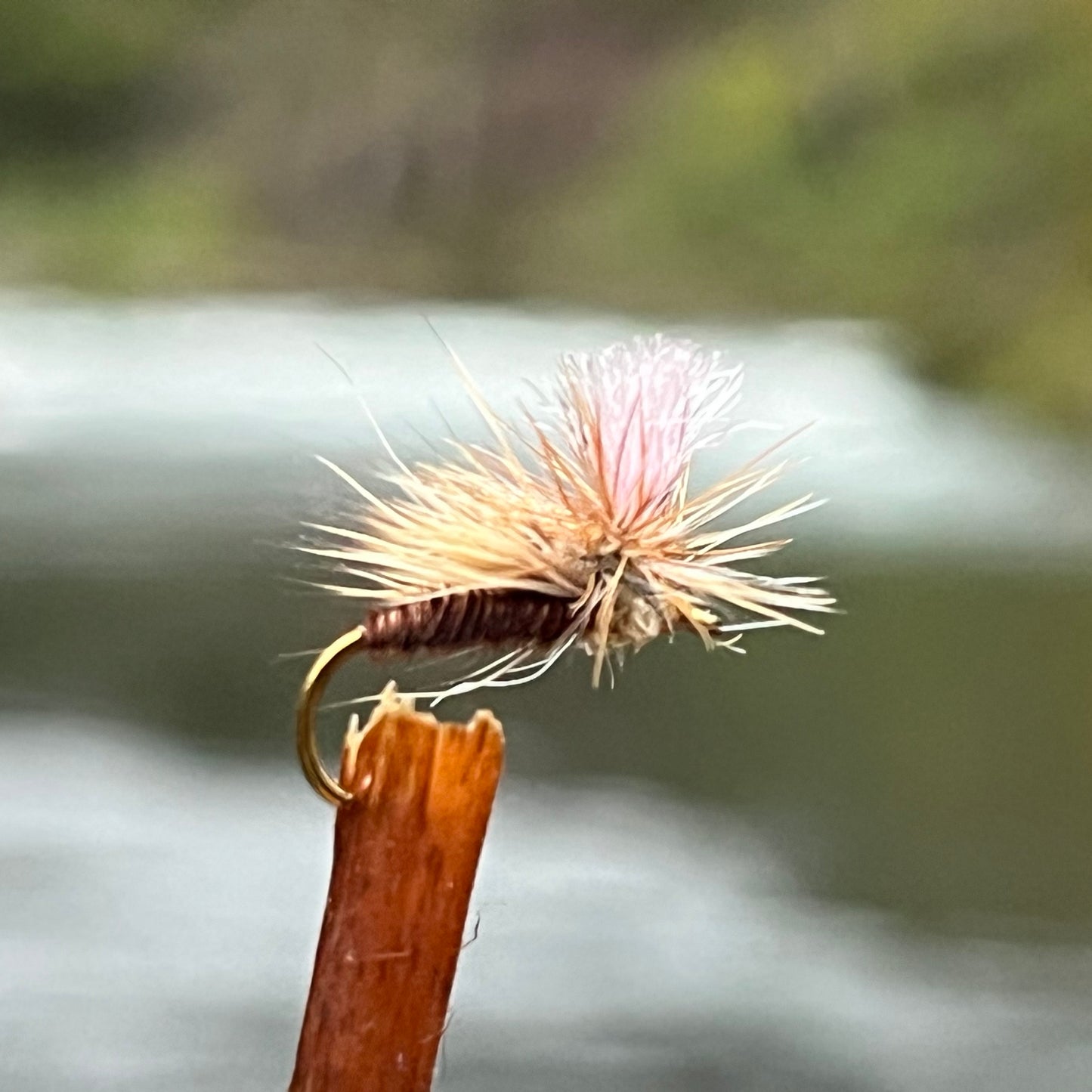 Parachute Caddis - (Pack of 3)