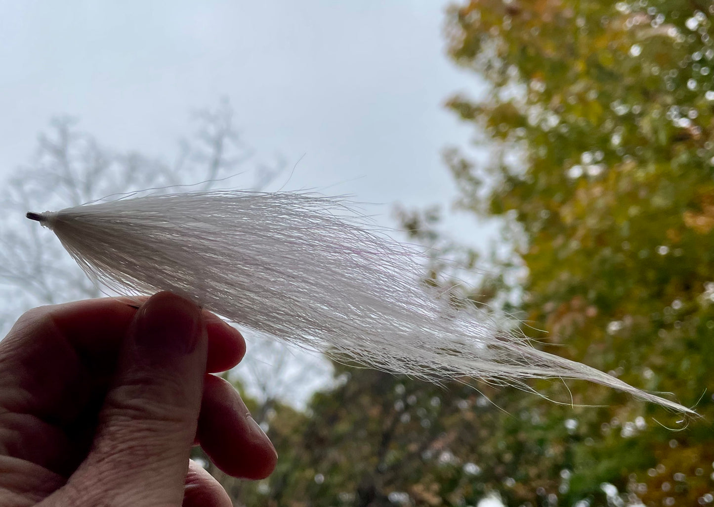 Bucktail Deceiver - White