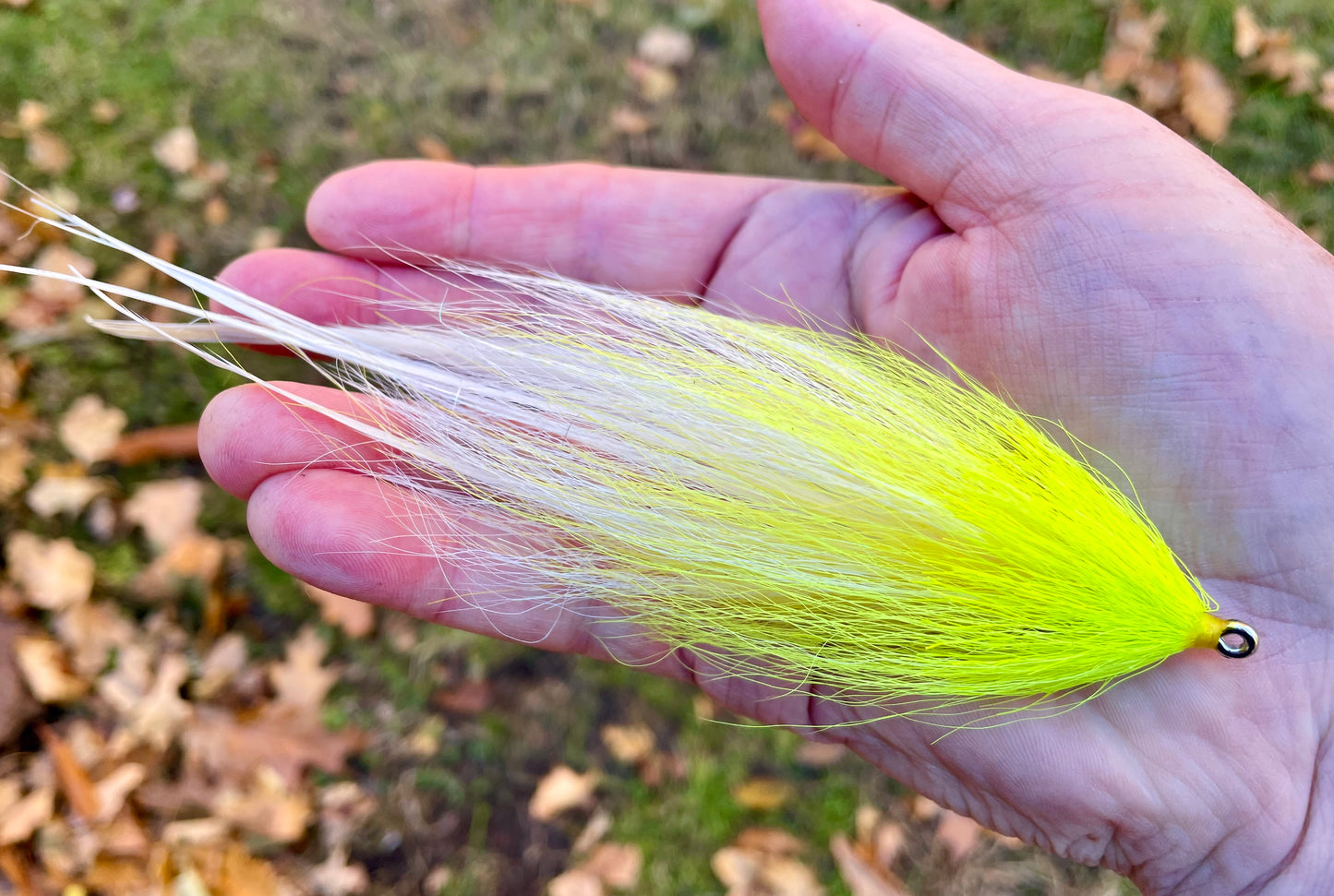 Reverse Bulkhead Hollow Fly - White body with chartreuse head