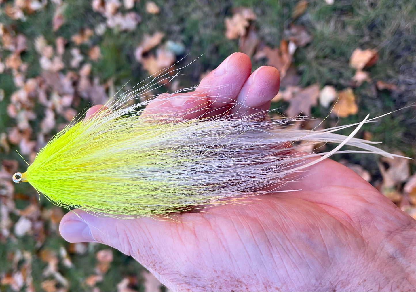 Reverse Bulkhead Hollow Fly - White body with chartreuse head