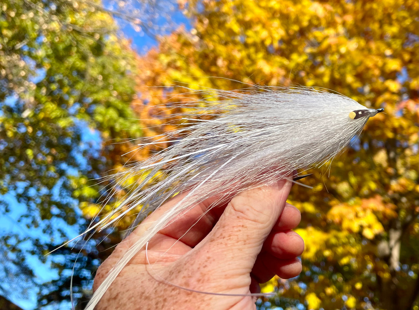 Reverse Bulkhead Hollow Fly - White body with white head