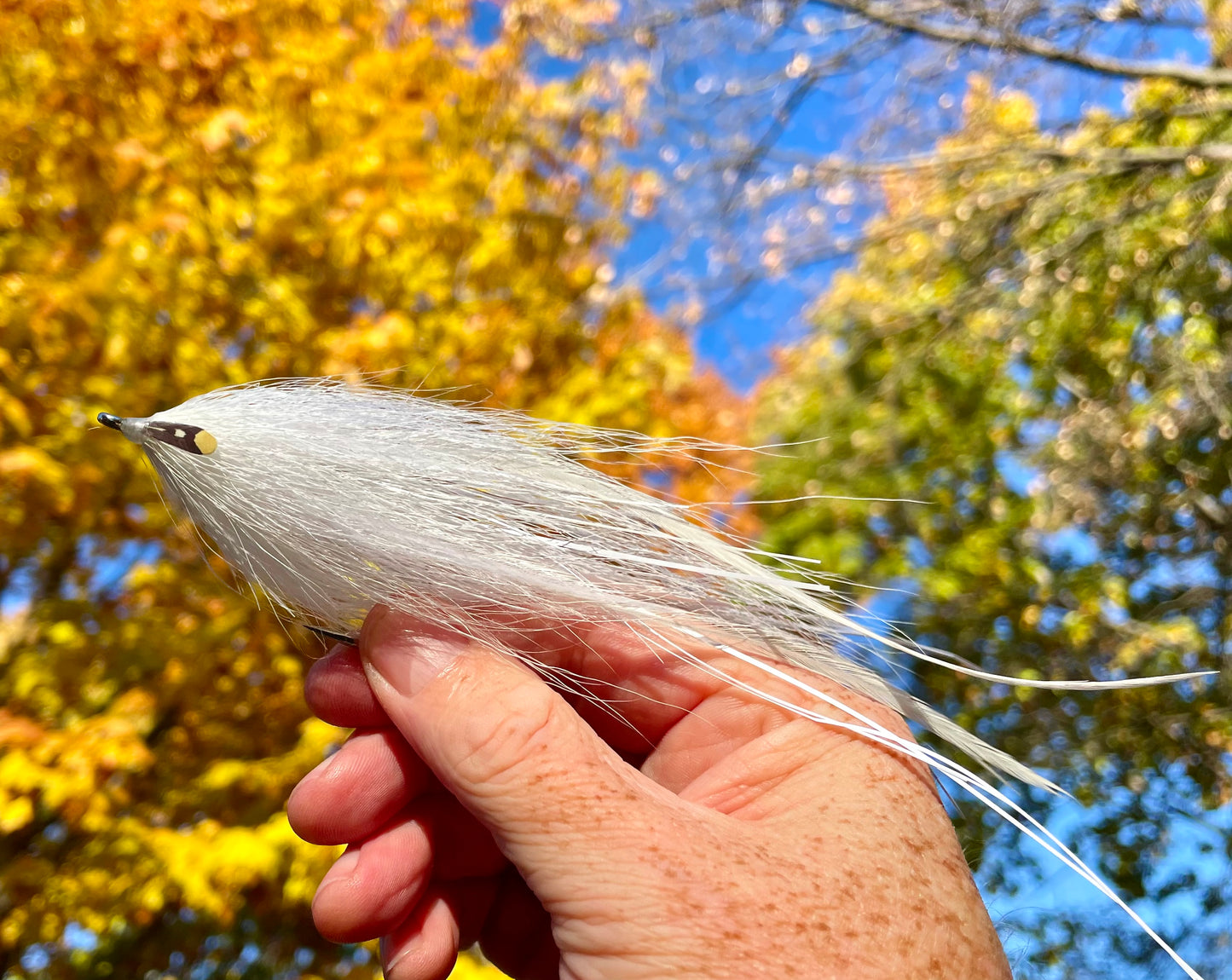 Reverse Bulkhead Hollow Fly - White body with white head