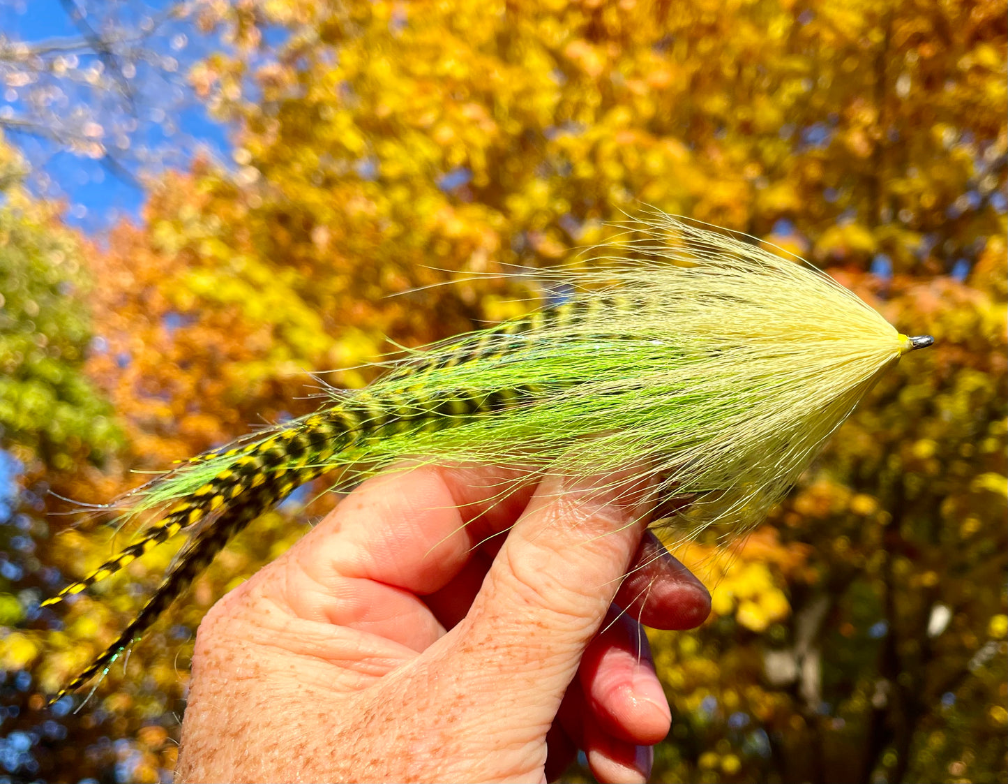 Reverse Bulkhead Hollow Fly - Chartreuse body with pistachio head