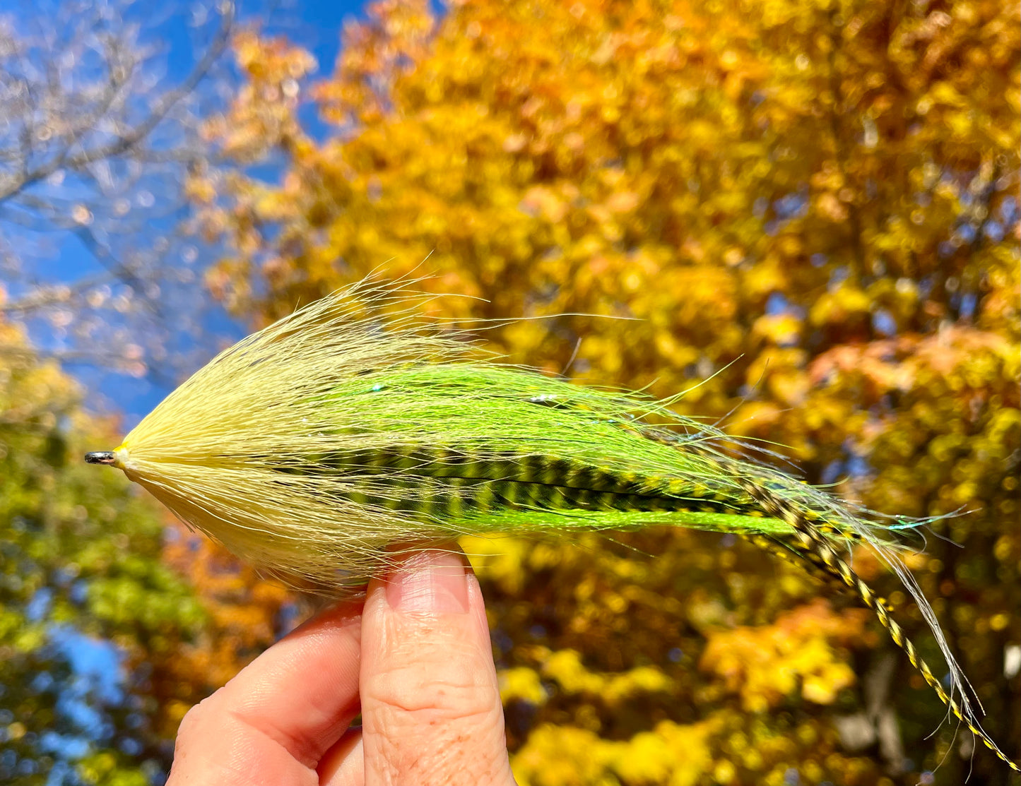 Reverse Bulkhead Hollow Fly - Chartreuse body with pistachio head