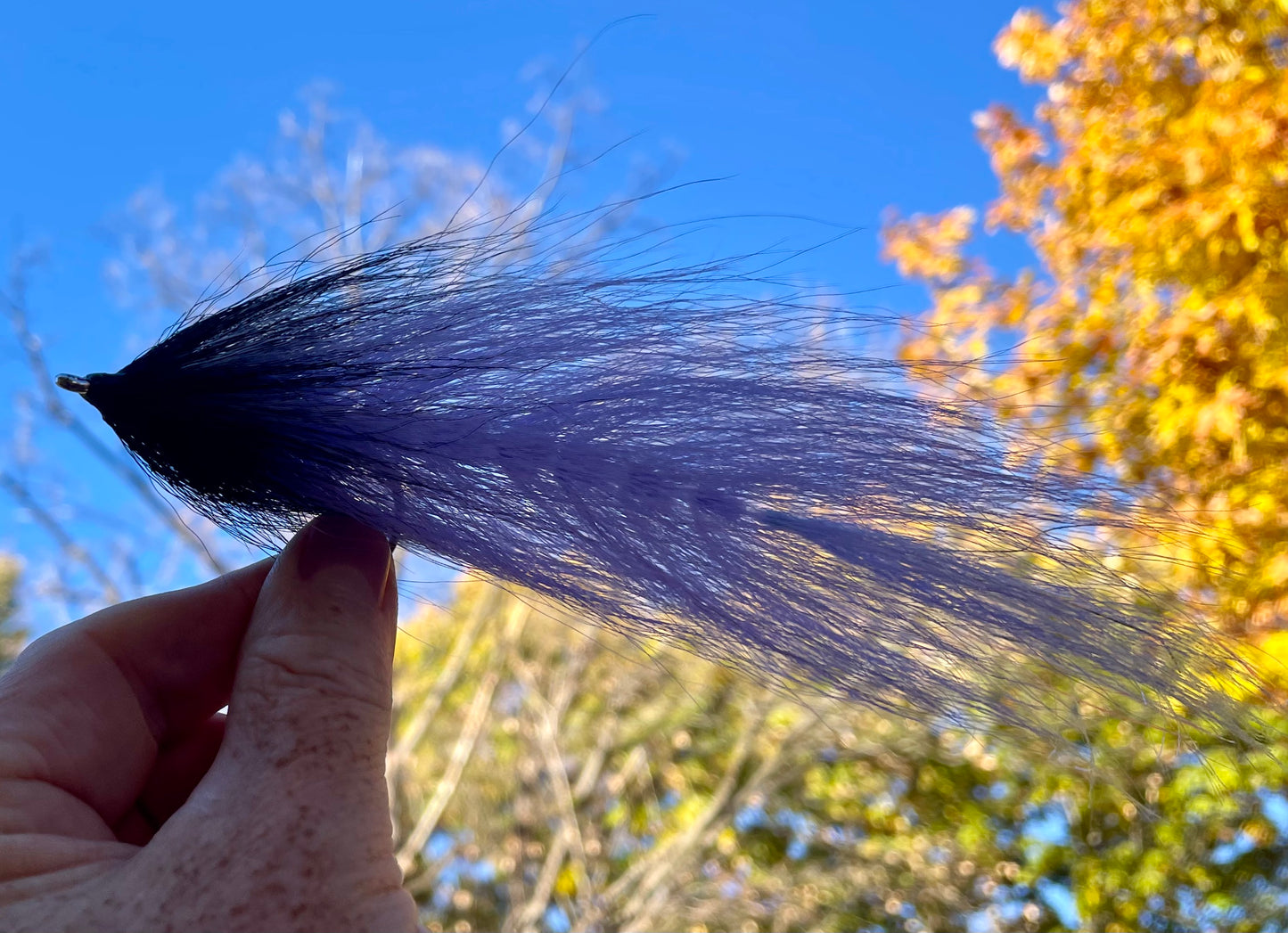 Beast Fly - lavender tail with black head