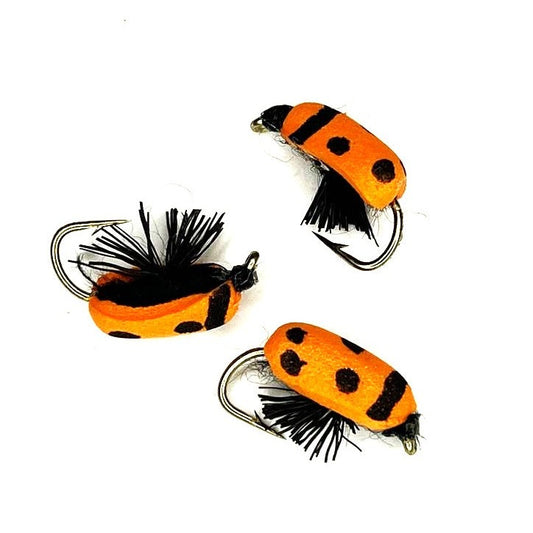 KR Lady Bug - (Pack of 3)