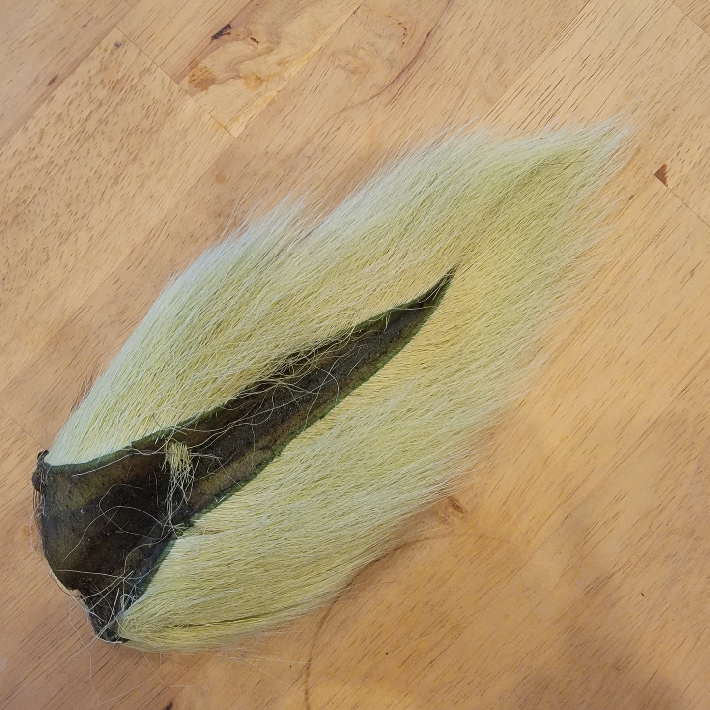 Large Bucktail