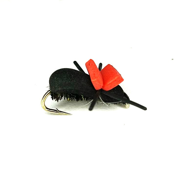 Rainy Foam Beetle - (Pack of 3)