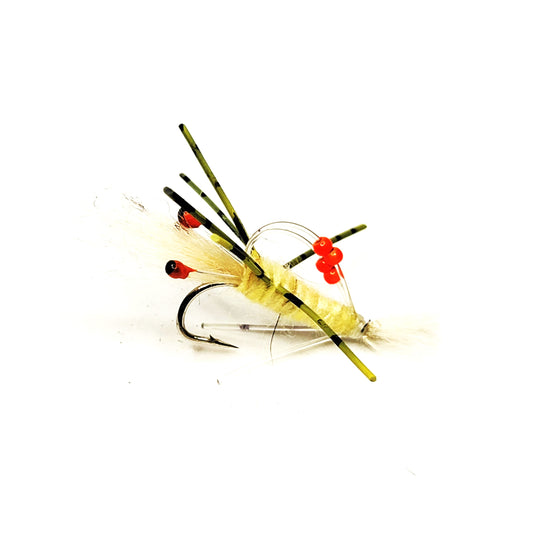 Sand Prawn | Size #4