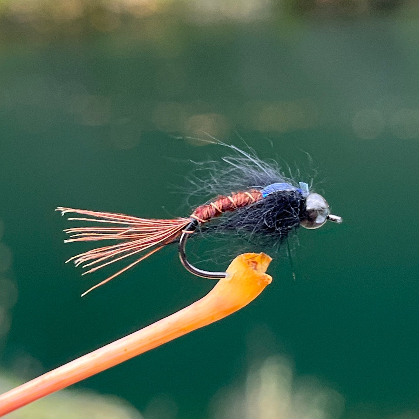 Tungsten Bead Head Caddis Nymph - (Pack of 3)