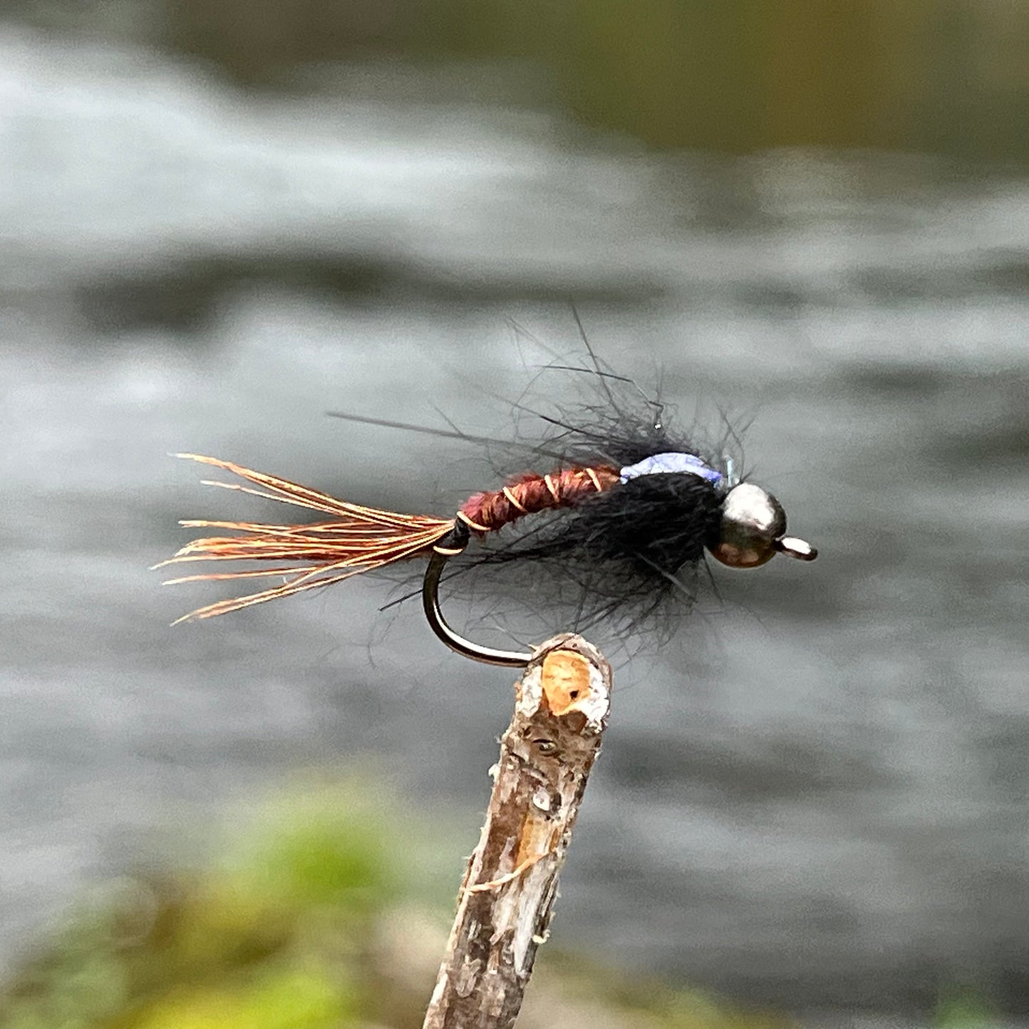 Tungsten Bead Head Caddis Nymph - (Pack of 3)