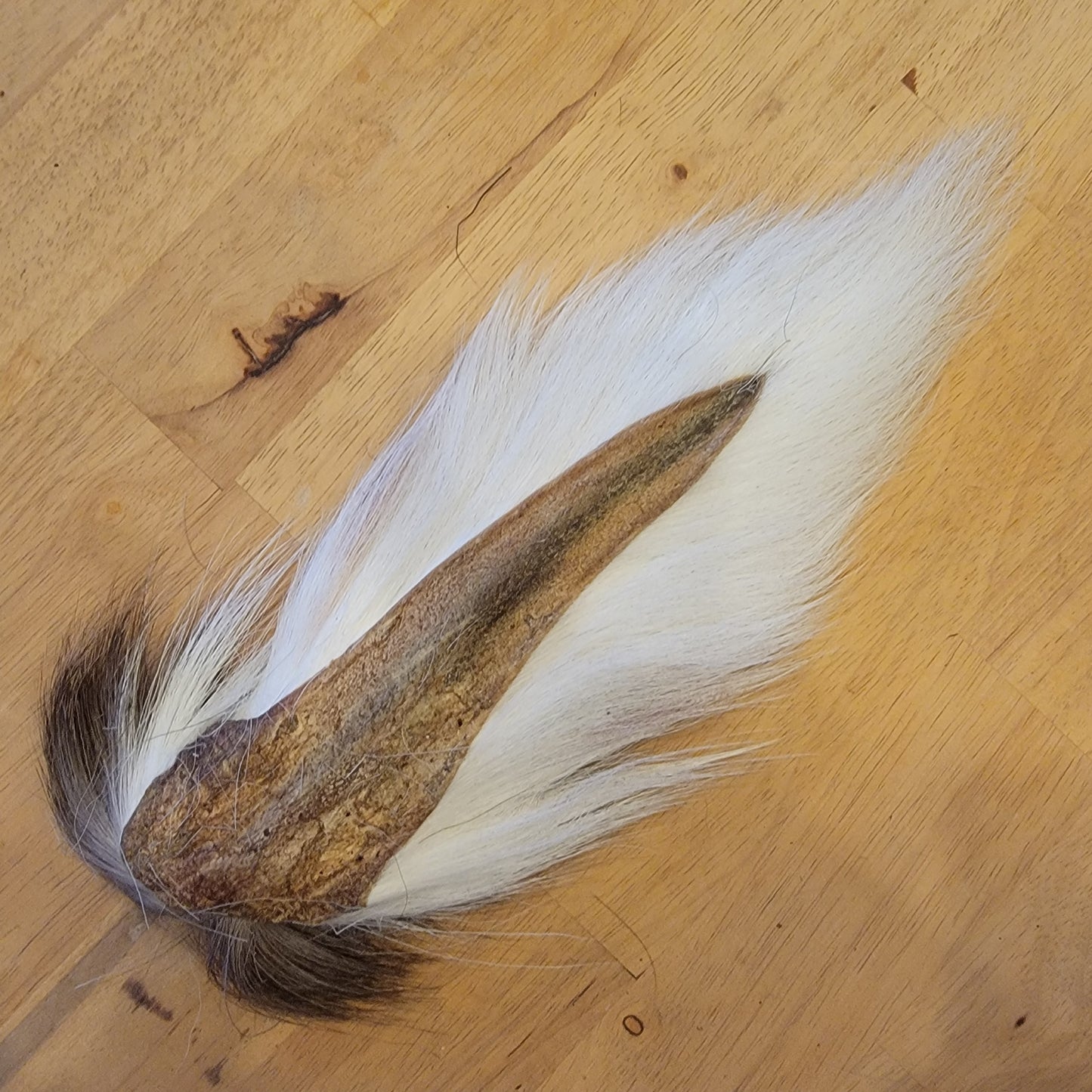 Large Bucktail