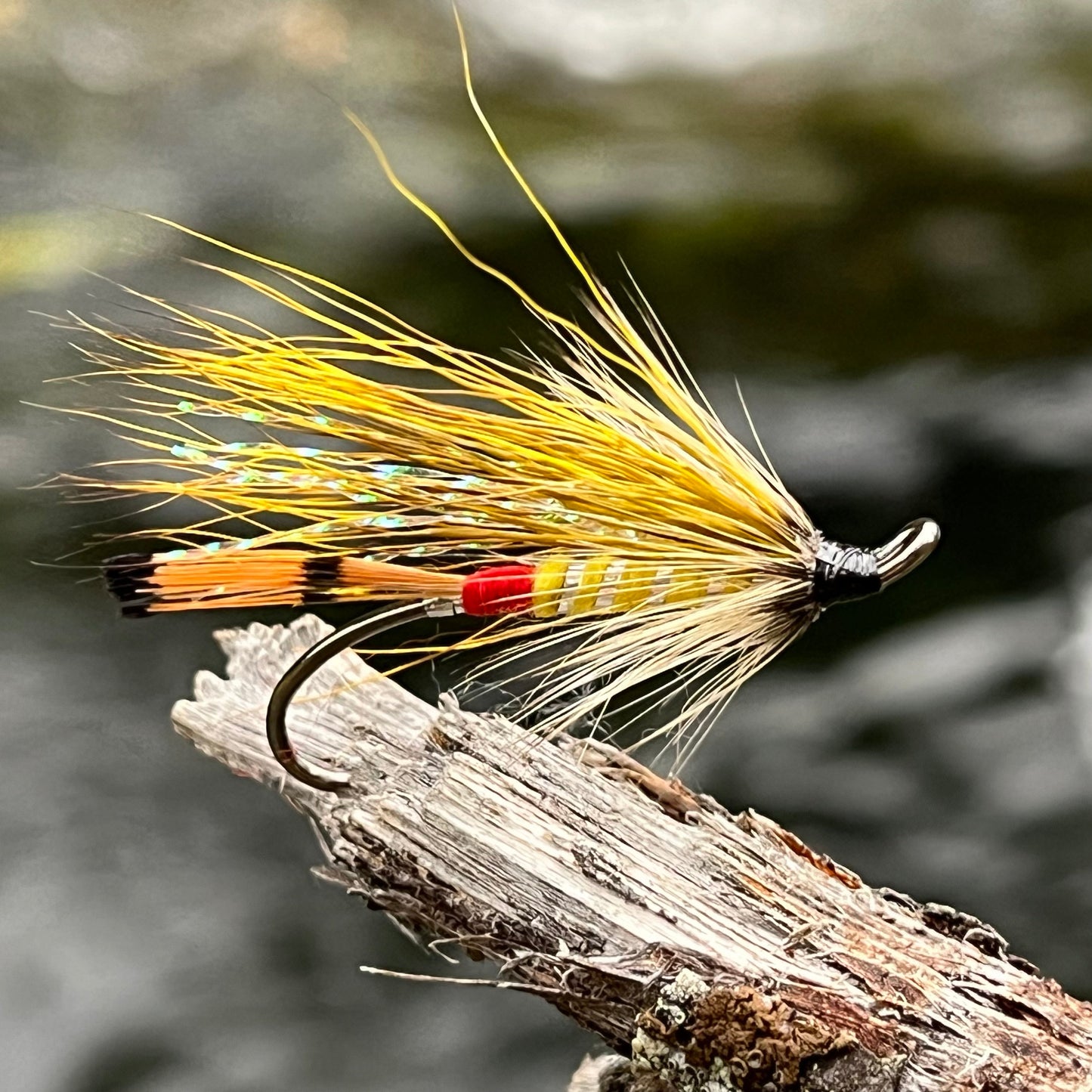 Badger & Yellow