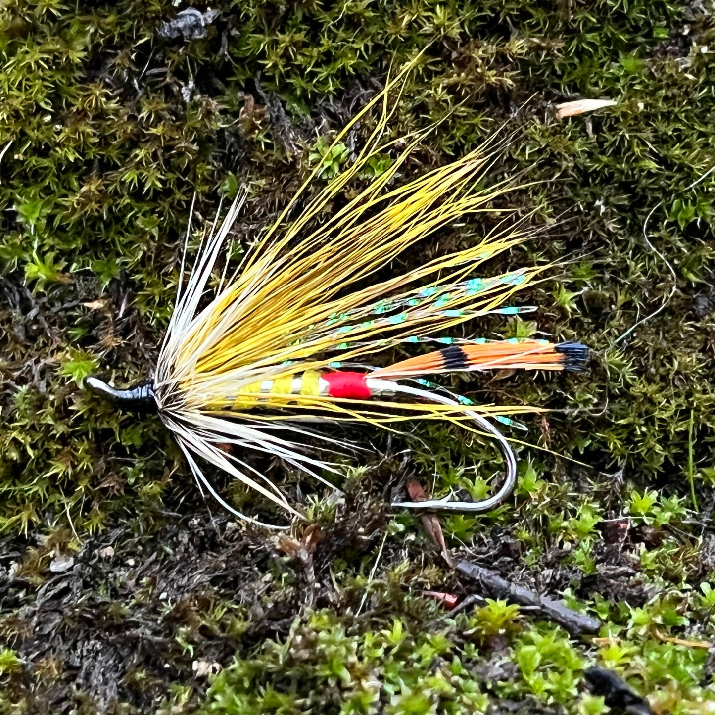 Badger & Yellow