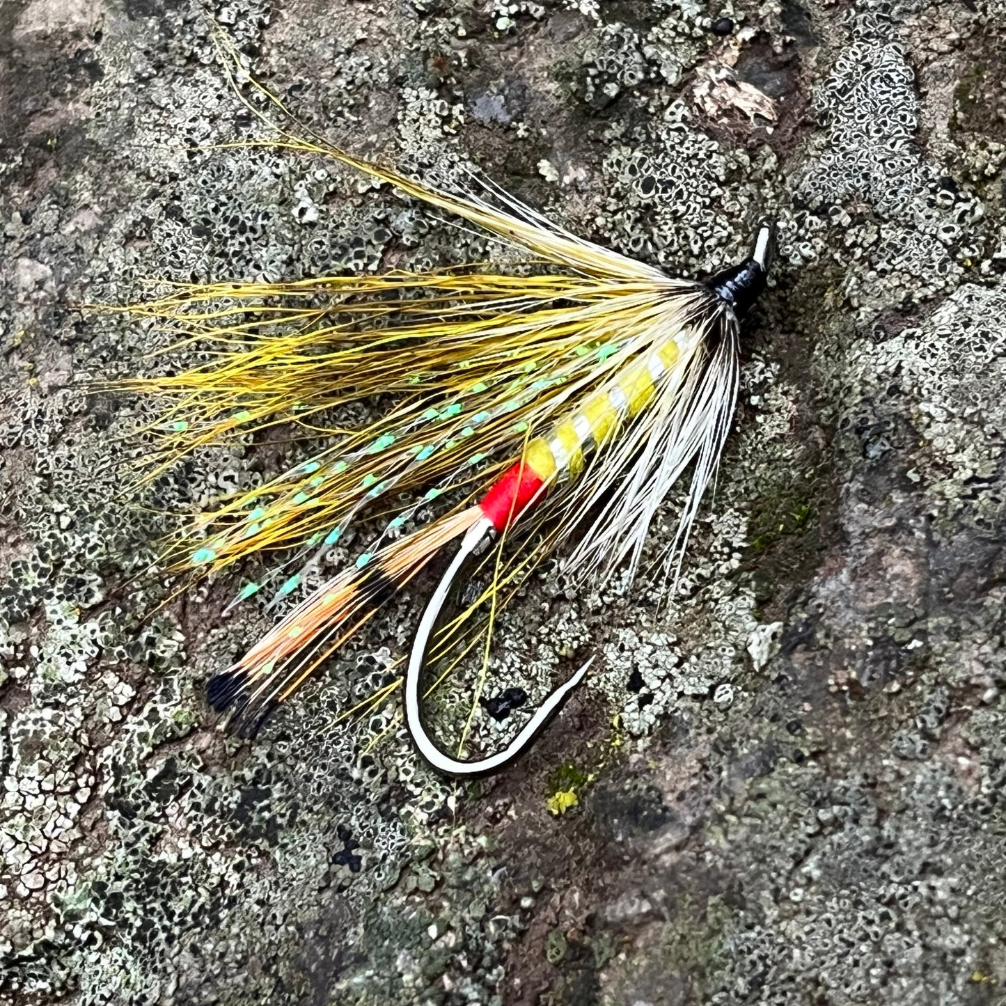 Badger & Yellow