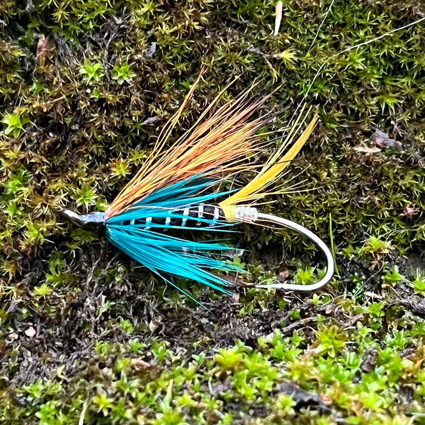 Blue Charm