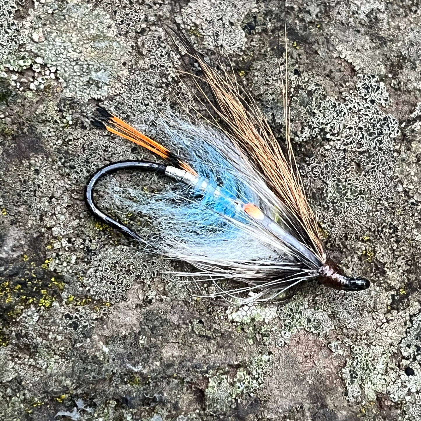 Blue Chevany