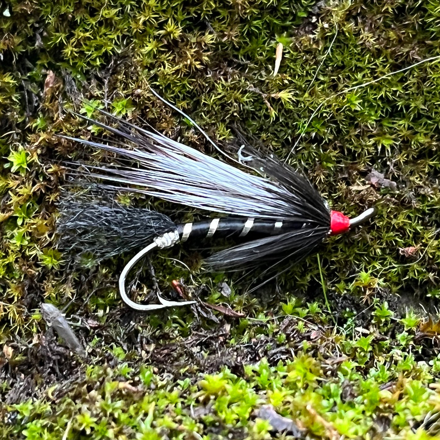 Cosseboom Black