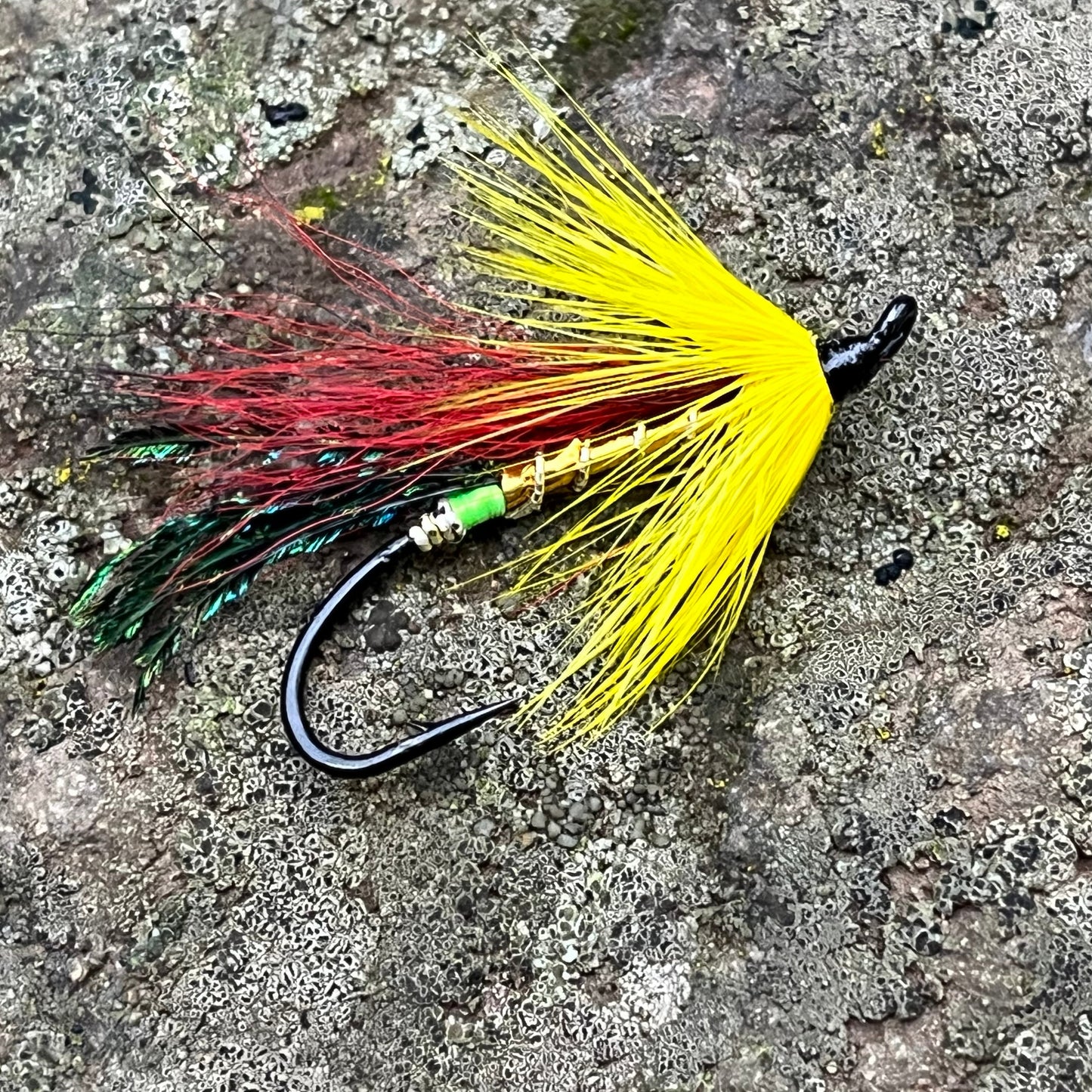 Cosseboom Gold