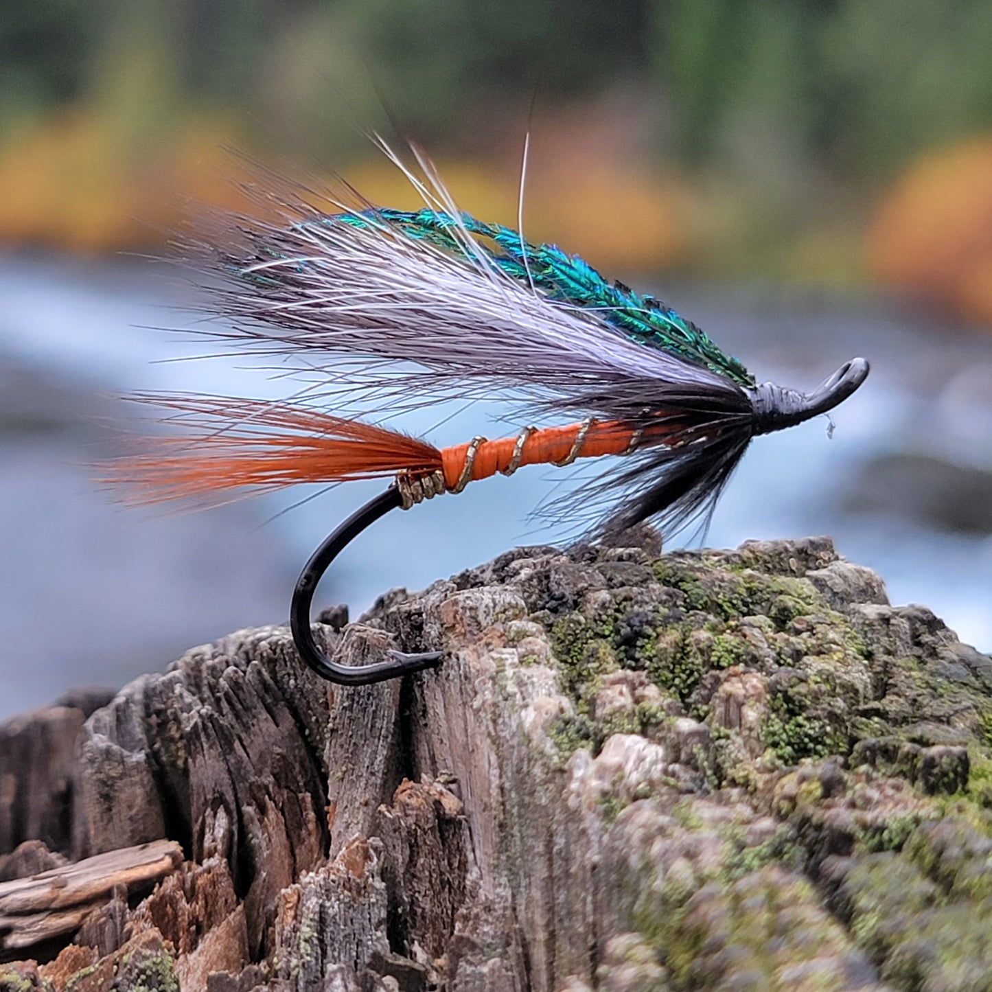 Cosseboom Orange