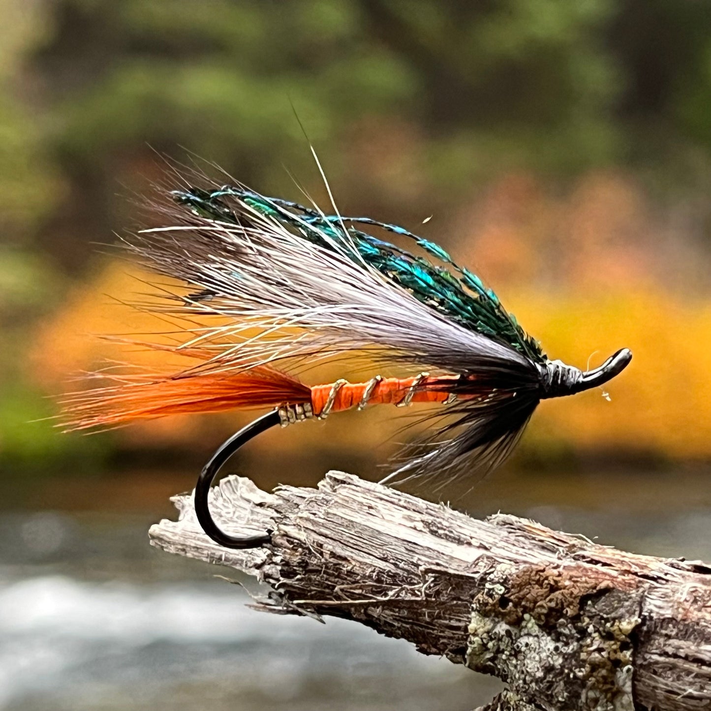 Cosseboom Orange